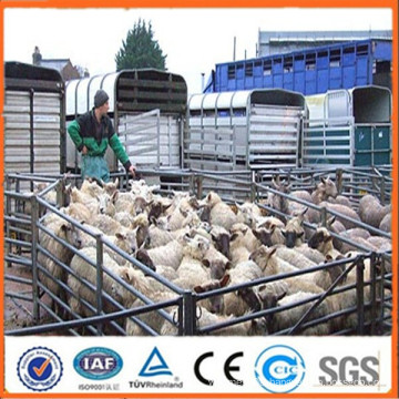 steel tube corral fencing panels/galvanized pipe horse fence panels/metal livestock farm fence panel
